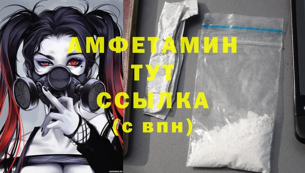 сатива Кулебаки