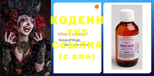 сатива Кулебаки